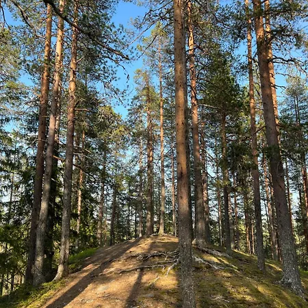 Villa Syoete * Syöte