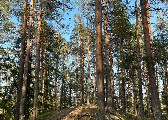 Villa Syoete * Syote